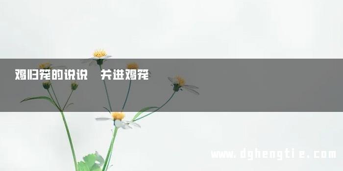 鸡归笼的说说 关进鸡笼